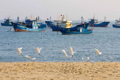 晉江市金井線:打造泉州濱海鄉(xiāng)村旅游&ldquo;橋頭堡&rdquo;