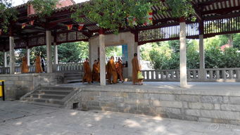 千年古剎 泉州開元寺 二 驚現亂涂鴉