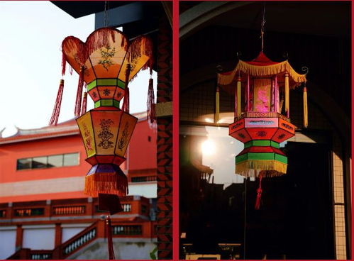 為期3天,攻略來(lái)了 泉州元宵來(lái) 澤 里,賞花燈享東南亞美食,點(diǎn)擊文末領(lǐng)取美食券 燈會(huì) 閩南 豐澤 元宵節(jié) 網(wǎng)易訂閱