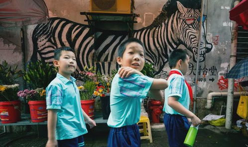 今天，全世界都在看泉州——探秘泉州涂鴉的藝術之旅