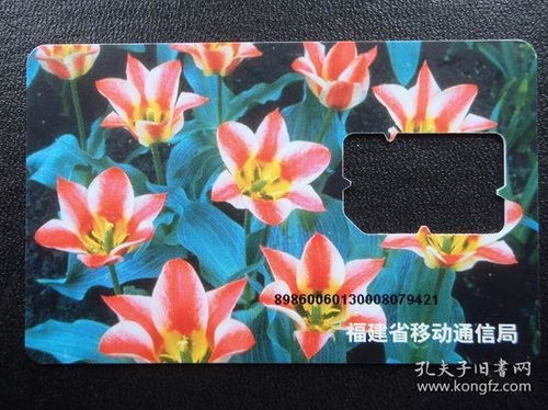 福建泉州剌桐閣聚寶齋收藏書店 孔夫子舊書網上的文化瑰寶